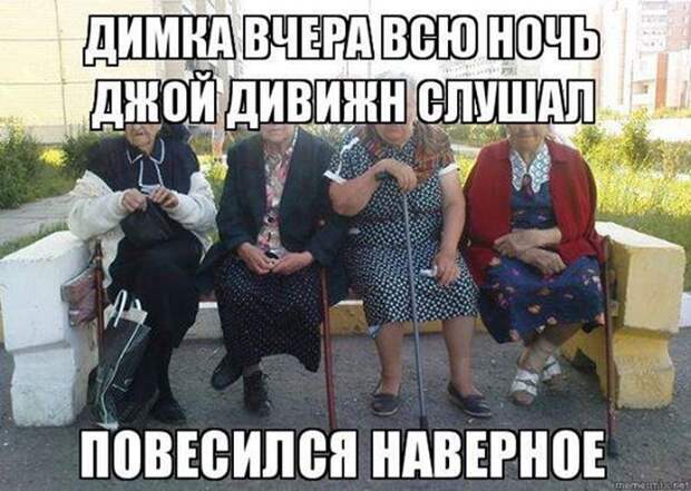 Смешные картинки с подписями катинки, прикол, юмор