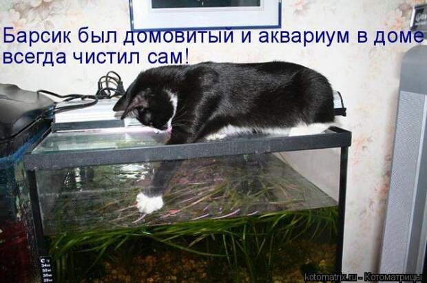 Мысли вслух :)