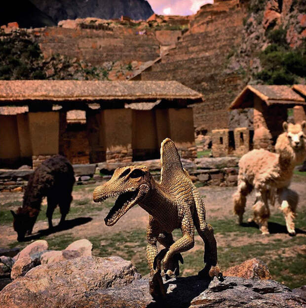 travel-photography-dinosaur-toys-dinodinaseries-jorge-sa_017