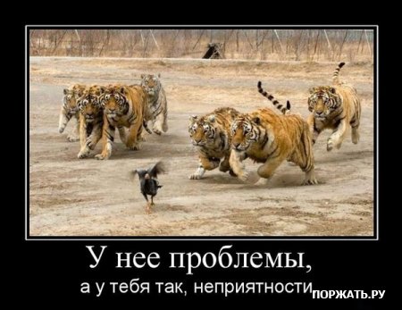 Демотиваторы свежак