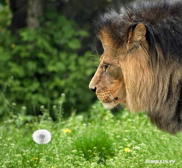 Фотоприколы с вконтакте.