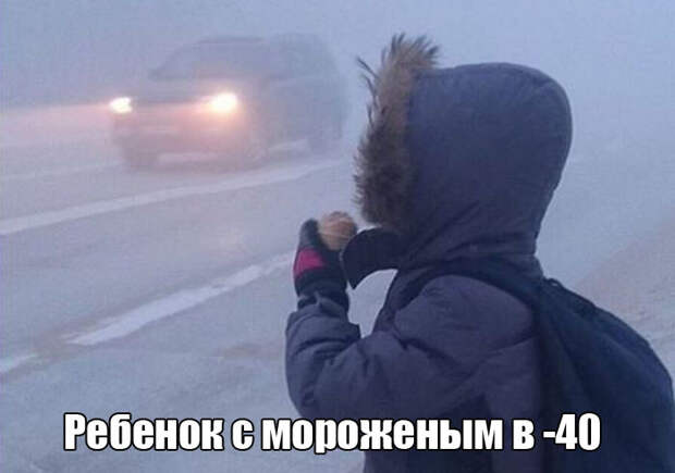 Прикольные картинки картинки, юмор