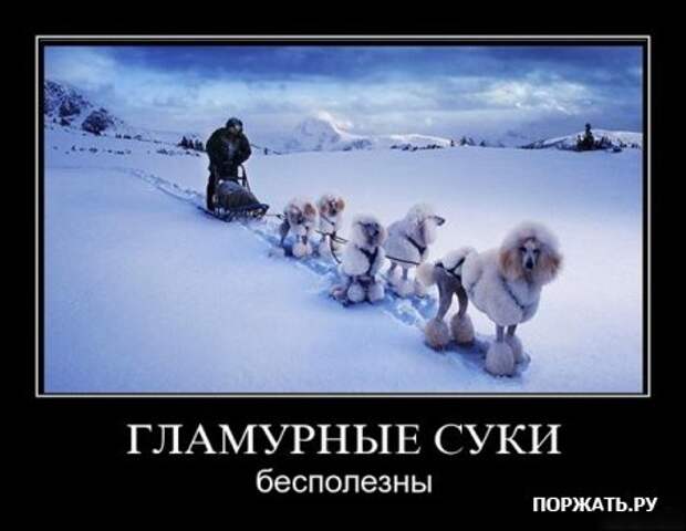 Отборные демотиваторы к понедельнику