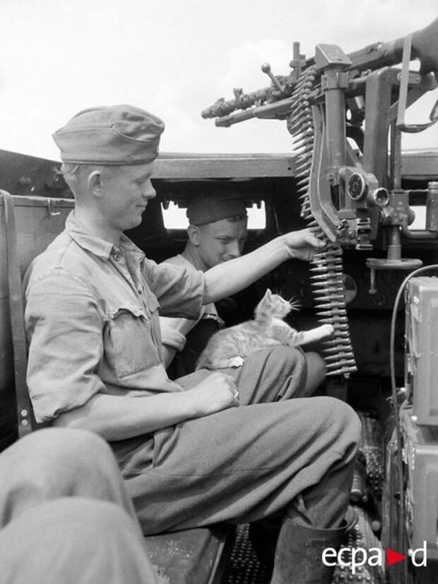 53. Курская битва, экипаж SdKfz 250 дивизии 53. Курская битва, экипаж SdKfz 250 дивизии