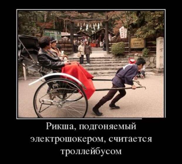 Демотиваторы появляются чаще снега.