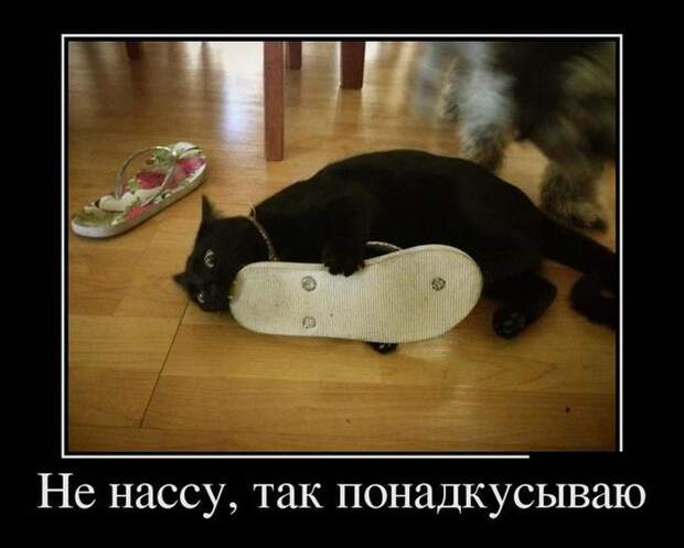 Демотиваторы демотиваторы, юмор