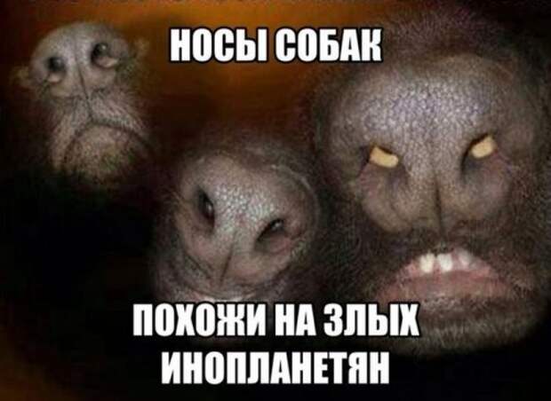 Просто картинки