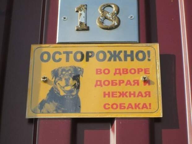 25 гениальных объявлений 2014 года объявления, смешно