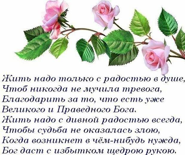 Я благодарен судьбе. Стихи на открытках о радости жизни. А Я просто живу а я просто люблю раскрывая для жизни объятья. Благодарность Богу в стихах. Благодарность Богу за прожитый день стихи.