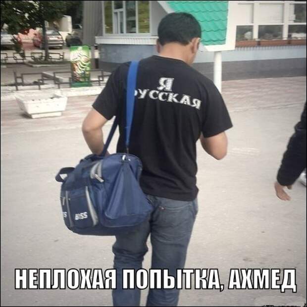 Картинки, юмор, приколы