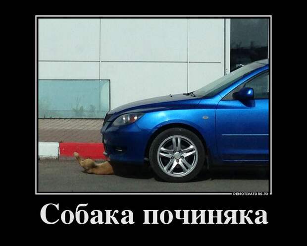 Демотиваторы демотиваторы, прикол, смех, юмор