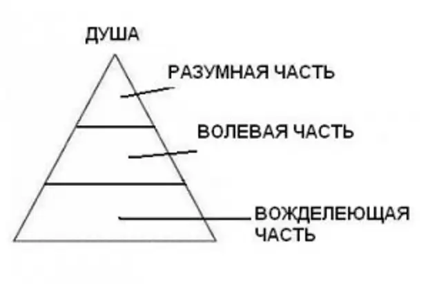 Типы души. Три части души по Платону. Три начала человеческой души по Платону. Структура души по Платону. Строение души по Платону.