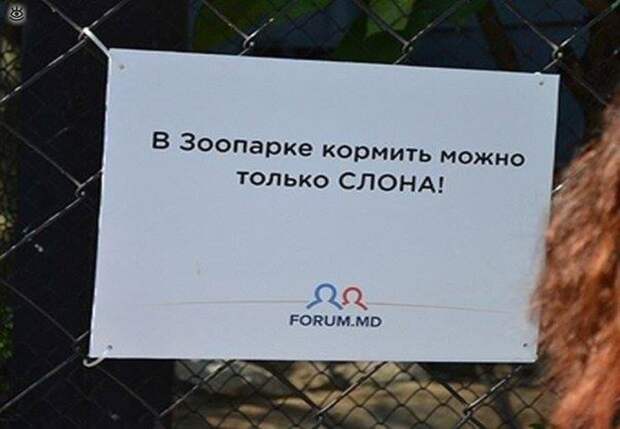 Приколы молдавского зоопарка 7