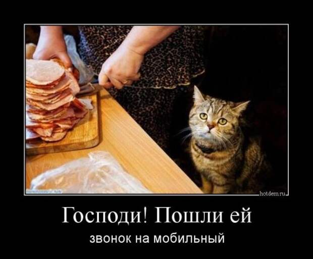 Прикольные демотиваторы для всех (12 шт)