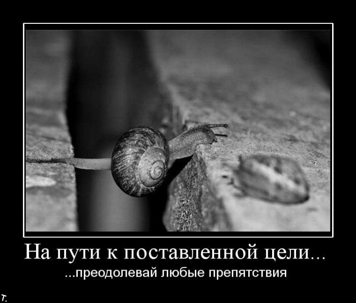 Подборка демотиваторов (84 фото)