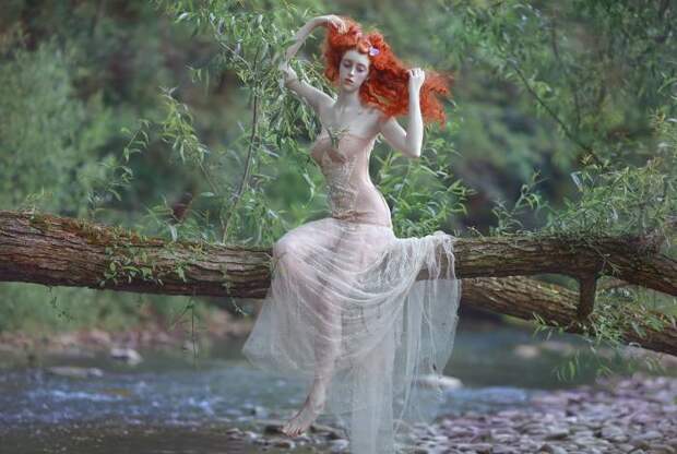 Дерево самоубийц. Автор Agnieszka Lorek. Дерево самоубийц. Автор Agnieszka Lorek.