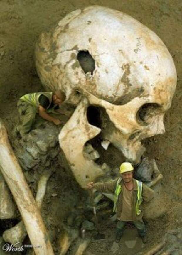 skeleton-4