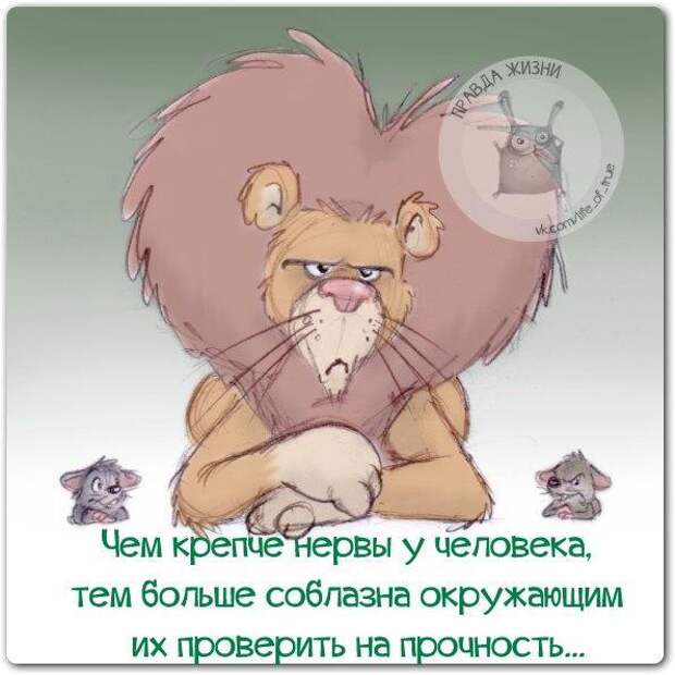 Смешная правда жизни, рассмешит вас