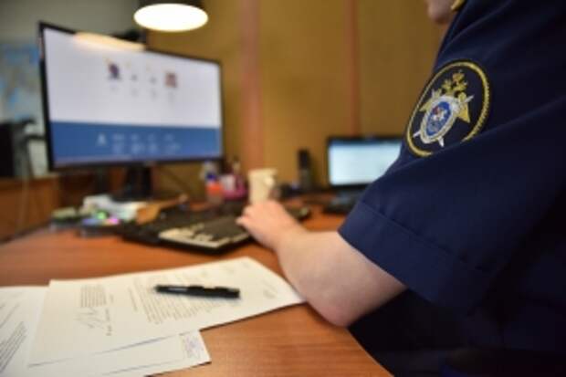 Главе ведомства представят доклад об обстоятельствах избиения мужчины в Санкт-Петербурге