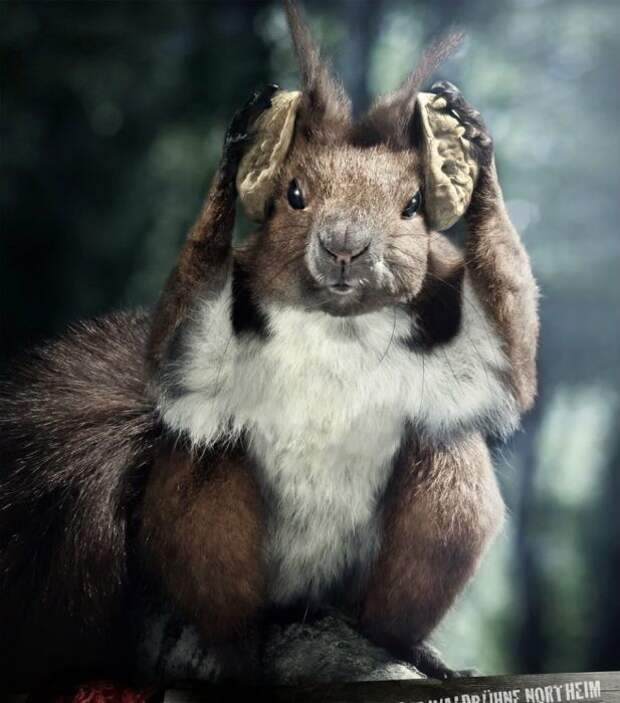 Давайте улыбаться вместе! :)