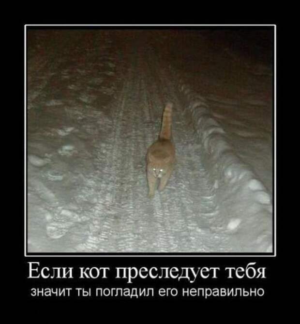 Демотиваторы демотиваторы, прикол, смех, юмор