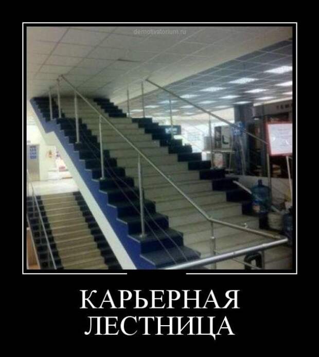Немного новых демотиваторов