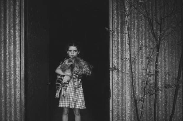 Фотограф Хелен Уиттл (Helen Whittle), Австралия.