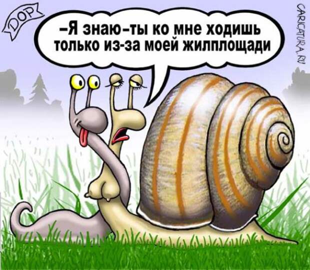 Фото без названия