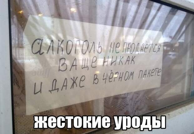 Просто смешные картинки с подписями весело, с подписями, смешные картинки, юмор