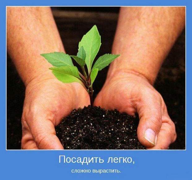 Мотиваторы 