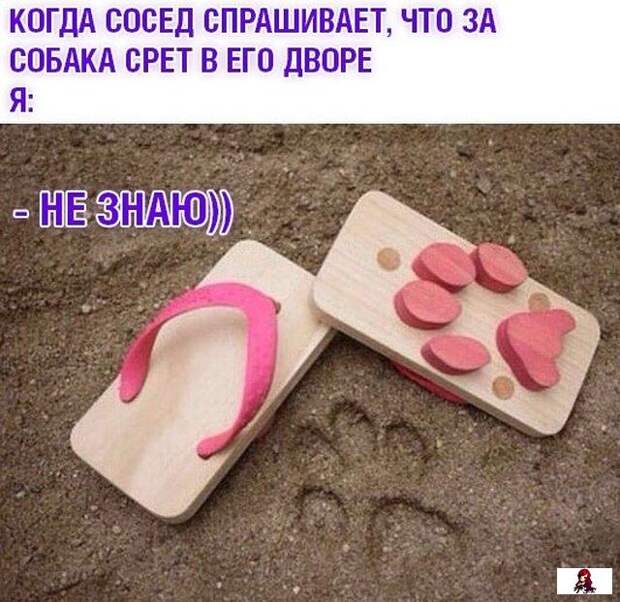 www.vsyako.net