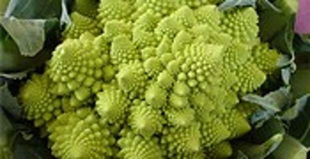 Капуста Romanesco Broccoli