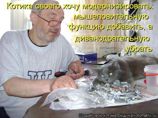Котоматрицы (картинки с надписями)