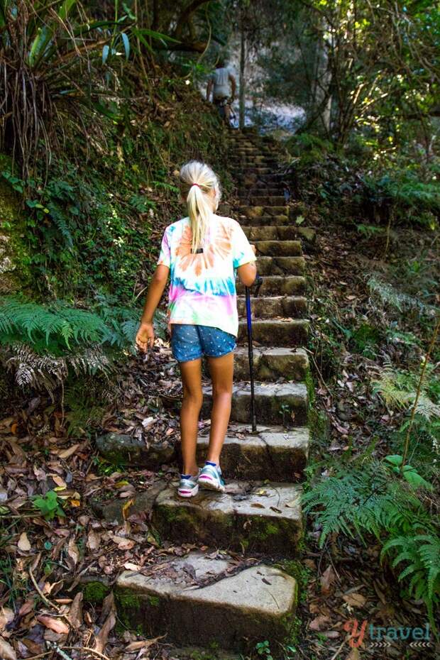 Exploring the Binna Burra Mountains in Lamington National Park, Gold Coast Hinterland, Australia