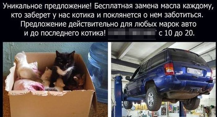 Прикольные картинки (91 фото)