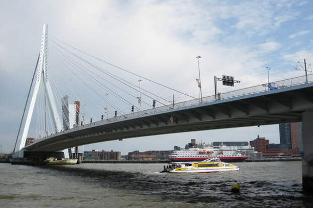 Мост Эразмуса в Роттердаме, Нидерланды.