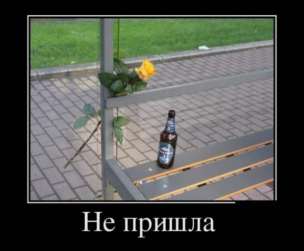 Демотиваторы (30 фото)