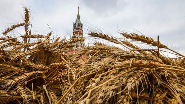 Портье: Только в России ждут в этом году высокий урожай зерна