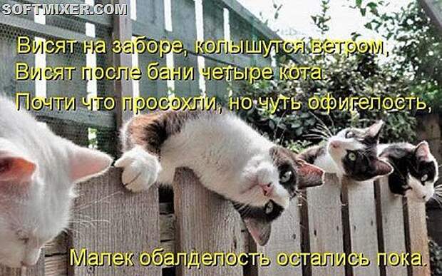 a0d1df27b6e05e70a5636d98500_prev