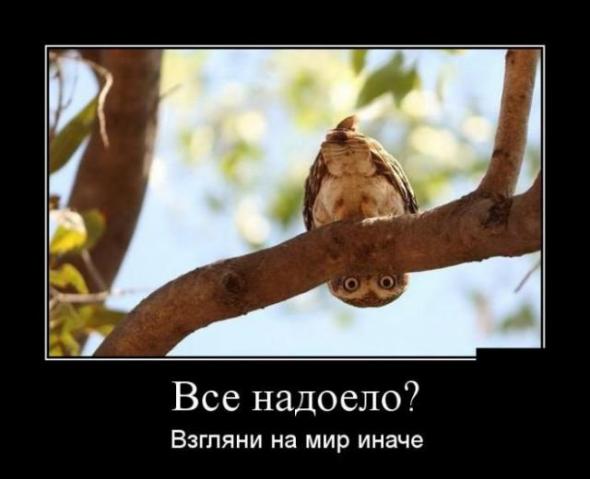 Подборка классных демотиваторов № 148