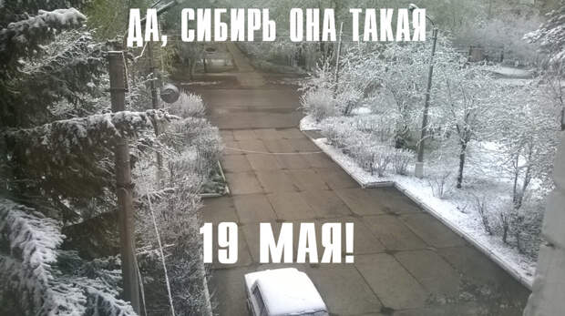 Это Сибирь, детка! Это Сибирь, детка! жизнь, мороз, прикол, сибирь