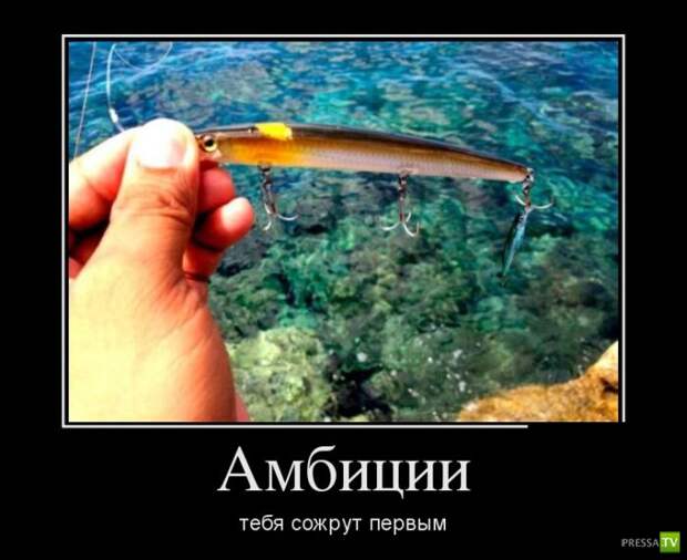 Демотиваторы на сентябрь 3, (30 фото)