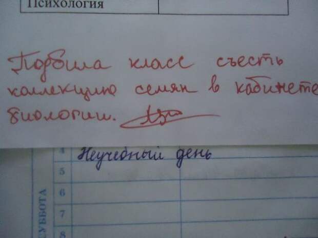 Учительские перлы из школьных дневников