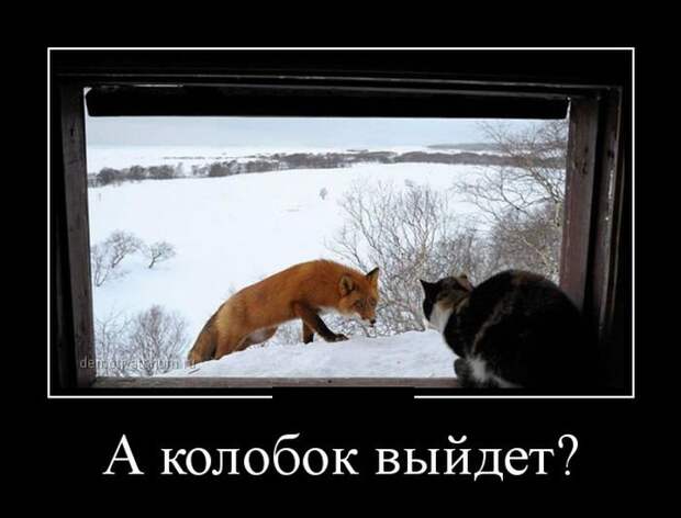Демотиваторы