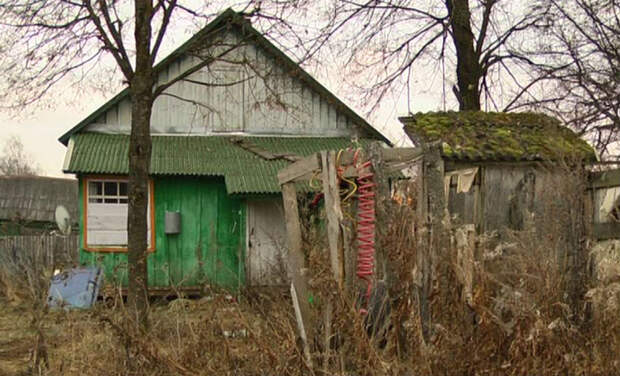 В этом доме вместе с 40 собаками жил 10-летний сын заводчицы