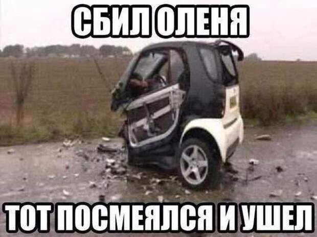 Веселые картинки Веселые картинки прикол, фото, юмор
