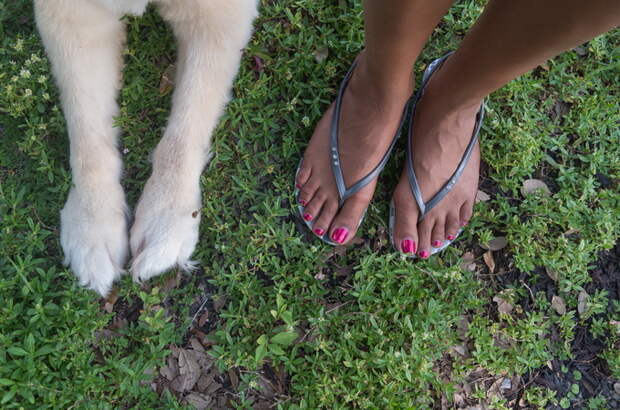 FEET&PAWS03.jpg