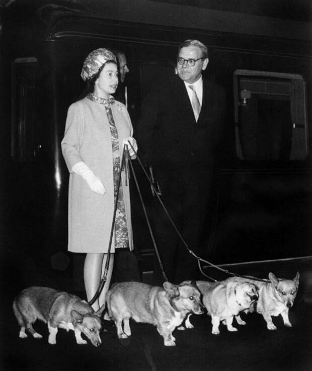 Елизавета с четырьмя корги на железнодорожном вокзале в Лондоне, 1969