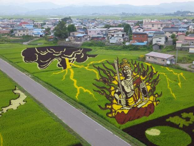 these-rice-fields-in-japan-look-like-ordinary-rice-fields-but-take-a-look-what-happens-next-artnaz-com-12