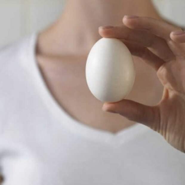 Куриное яйцо помогает избавиться от многочисленных папиллом